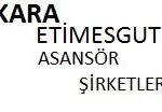 Elmadağ Asansör Şirketleri