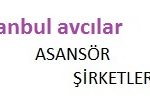 Bağcılar Asansör Firmaları